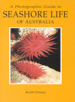A Photographic Guide to Seashore Life of Australia: Keith Davey (engl.) 144 S.