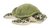 Schildkröte grün Plüsch ca. 15cm