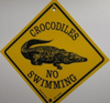 Warnschild Crocodiles No Swimming - Gross