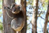 Grusskarte Koala Happy Birthday