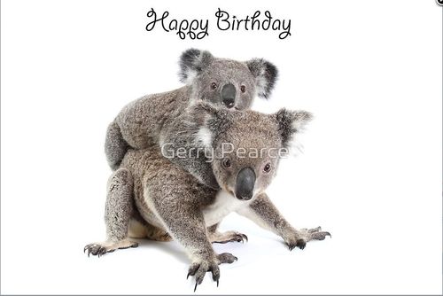 Grusskarte Koala Mutter & Baby Happy Birthday Quer