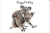 Grusskarte Koala Mutter & Baby Happy Birthday Quer