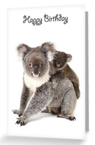 Grusskarte Koala Mutter & Baby Happy Birthday