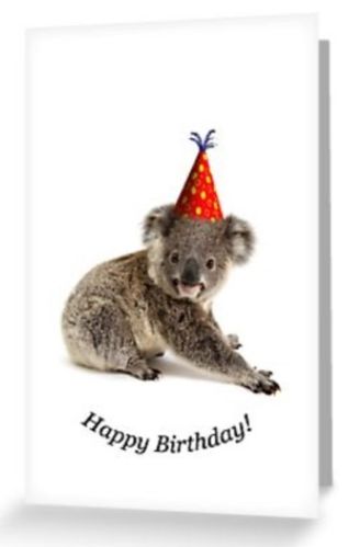Grusskarte Koala Joey mit Hut Happy Birthday