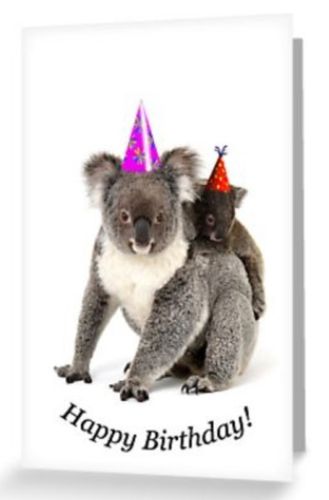 Grusskarte Koala Mutter mit Joey Happy Birthday Hüte