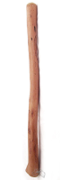 Didgeridoo Eukalyptus unbemalt