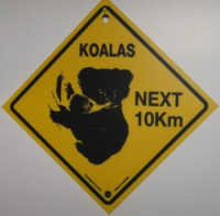 Magnet Warnschild Koalas ca. 5x5cm