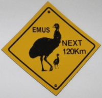 Magnet Warnschild Emus ca. 5x5cm