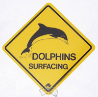 Magnet Warnschild Dolphins ca. 5x5cm