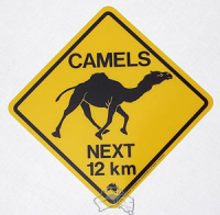 Magnet Warnschild Camels ca. 5x5cm