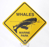 Magnet Warnschild Whales Marine Park ca. 5x5cm
