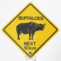Magnet Warnschild Buffaloes ca. 5x5cm