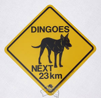 Warnschild Dingoes next 23 km