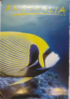 Tropenfisch-Poster
