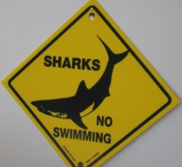 Warnschild Sharks No Swimming - Gross