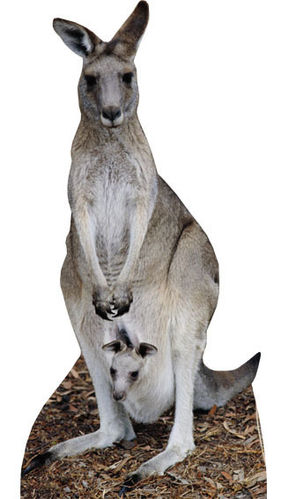 Känguru mit Joey aus Pappe als Partydeko
