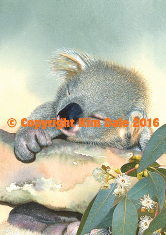 Grusskarte Koala Bild