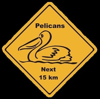 Warnschild Pelicans next 6 km