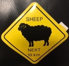 Aufkleber Warnschild Sheep ca. 8½ x 8½cm