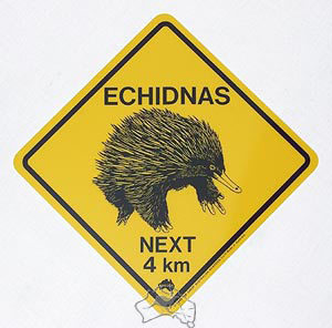 Aufkleber Warnschild Echidna ca. 8½ x 8½cm