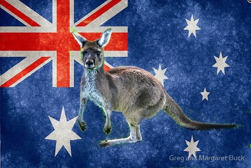 Grusskarte Kangaroo mit Fahne