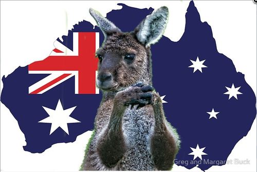 Grusskarte Kangaroo and Fahnenumriss