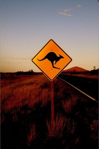 Grusskarte Kangaroo Warnschild Sonnenuntergang