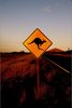 Grusskarte Kangaroo Warnschild Sonnenuntergang