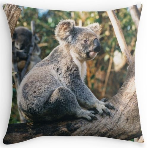 Kissenbezug ca. 41x41cm Koala 2