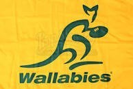 Fahne Australien Wallabies Rugby ca.  60x90cm