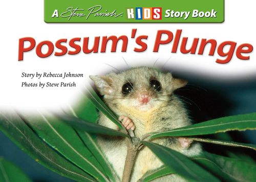 Possum's Plunge: Rebecca Johnson (engl.) 24. S.