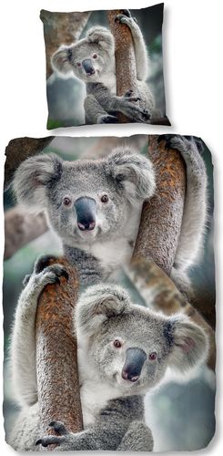 Bettwäsche Koalas 135x200 + 80x80 cm am Baum