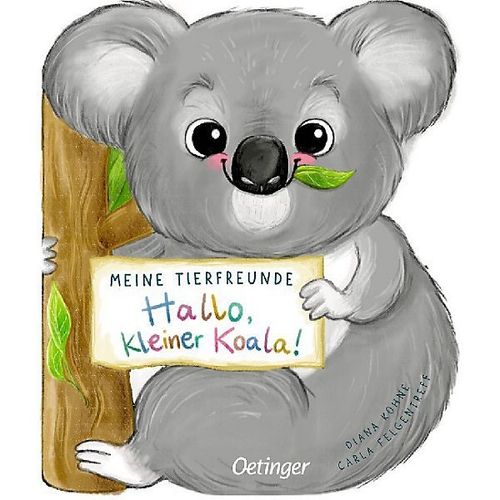 Hallo, kleiner Koala!: Diane Kohne (dt:) 12 S.