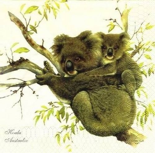 Servietten Koala mit Baby/Kängurus x20 ca. 33x33xm 3-lagig