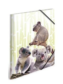 Folder / Eckspannermappe A4 Koala-Familie ca. 24x32cm