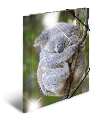 Folder / Eckspannermappe A4 Koala Glossy ca. 24x32cm