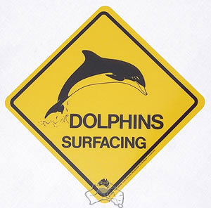 Aufkleber Warnschild Delfin ca. 8½ x 8½cm